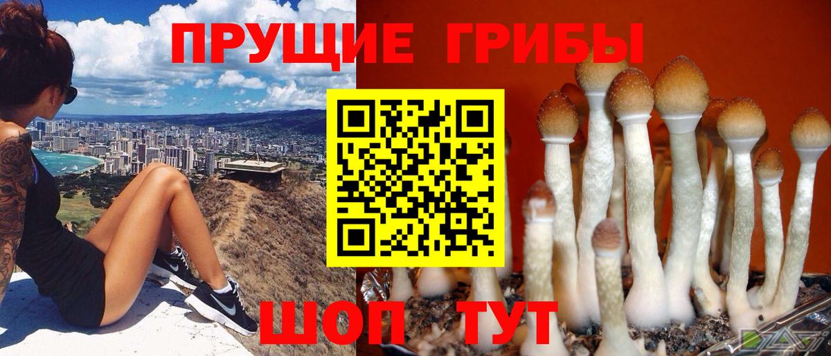 Галлюциногенные грибы Magic Shrooms Белгород