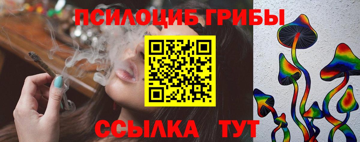 Галлюциногенные грибы Psilocybe  Вход с VPN  Белгород 